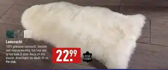 ALDI Lamsvacht aanbieding