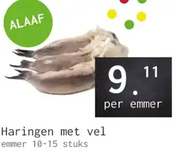 Naanhof Haringen met vel aanbieding