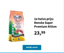 Plein.nl Renske Super Premium Kitten aanbieding