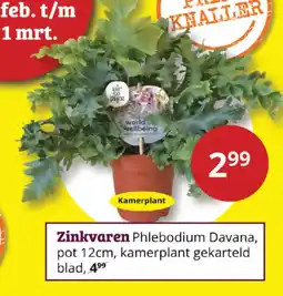 Tuinland Zinkvaren aanbieding