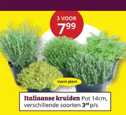 Tuinland Italiaanse kruiden aanbieding