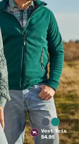 Welkoop Vest Teis aanbieding