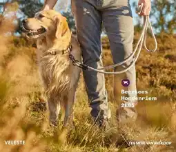 Welkoop Beeztees Hondenriem aanbieding