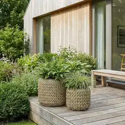 Action Set van 2 lage plantenpotten - naturel aanbieding