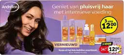 Kruidvat Andrélon aanbieding