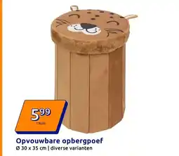 Action Opvouwbare opbergpoef aanbieding