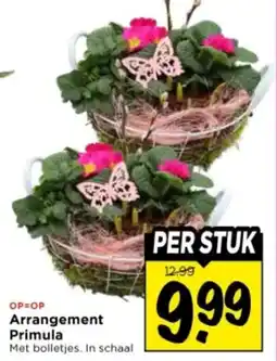 Vomar Voordeelmarkt Arrangement Primula aanbieding