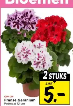 Vomar Voordeelmarkt Franse Geranium aanbieding