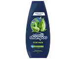 De Online Drogist Schauma Shampoo For Men Voor Elke Dag 400ML aanbieding