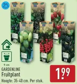 ALDI Gardenline Fruitplant aanbieding