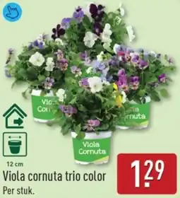 ALDI Viola cornuta trio color aanbieding