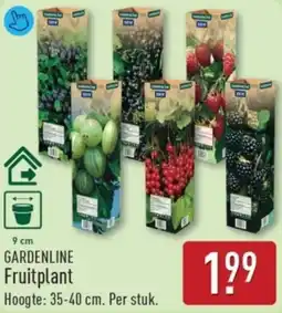 ALDI Gardenline Fruitplant aanbieding