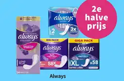 Plein.nl Always aanbieding