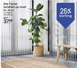 Leen Bakker Alle Fenstr lamellen ор aanbieding