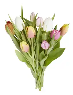 PLUS PLUS Tulpen regenboogmix aanbieding