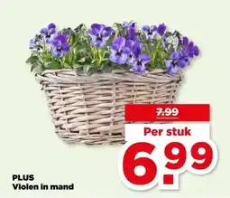 PLUS PLUS Violen in mand aanbieding