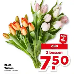 PLUS PLUS Tulpen aanbieding