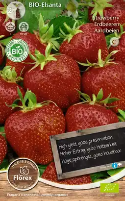 Intratuin Florex bio aardbeien (Fragaria 'Elsantha') 2 stuks aanbieding