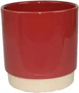 Intratuin Gina Da bloempot op voet Eno rood D 13 H 13 cm aanbieding
