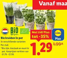 Lidl Bio kruiden in pot aanbieding