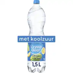 Joybuy Crystal Clear Sparkling Lemon Cactus Fles aanbieding