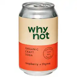 Joybuy Why Not Bottle Soda Raspberry Thyme aanbieding
