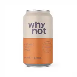 Joybuy Why Not Bottle Soda Peach Ginger aanbieding