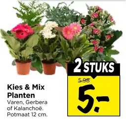 Vomar Voordeelmarkt Kies & mix planten aanbieding