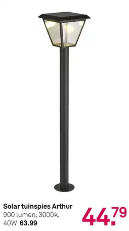 Karwei Solar tuinspies Arthur aanbieding