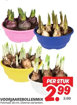 Dekamarkt Voorjaarsbollenmix aanbieding
