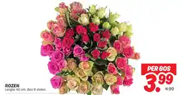 Dekamarkt Rozen aanbieding