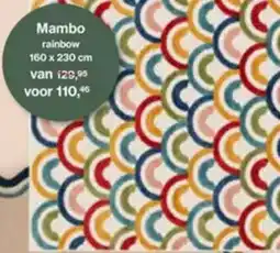 Roobol Mambo rainbow aanbieding