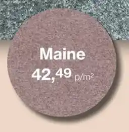 Roobol Maine aanbieding