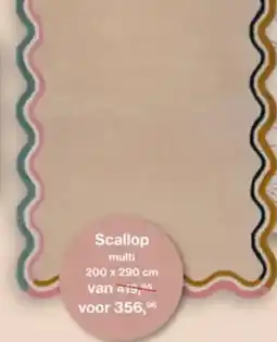 Roobol Scallop aanbieding