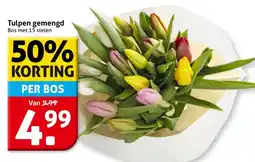 Hoogvliet Tulpen gemengd aanbieding