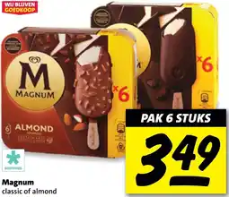 Nettorama Magnum aanbieding