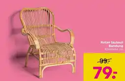 Xenos Rotan fauteuil Bandung aanbieding