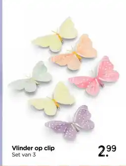 Xenos Vlinder op clip aanbieding