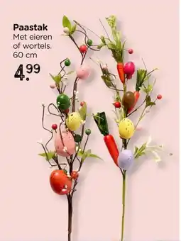 Xenos Paastak aanbieding