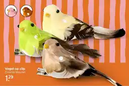 Xenos Vogel op clip aanbieding