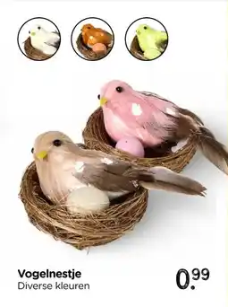 Xenos Vogelnestje aanbieding