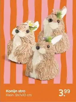 Xenos Konijn stro aanbieding