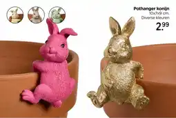 Xenos Pothanger konijn aanbieding