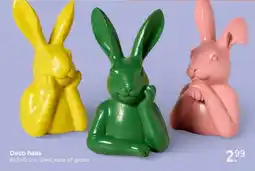 Xenos Deco haas aanbieding