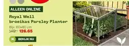 Welkoop Royal Well broeikas Parsley Planter aanbieding