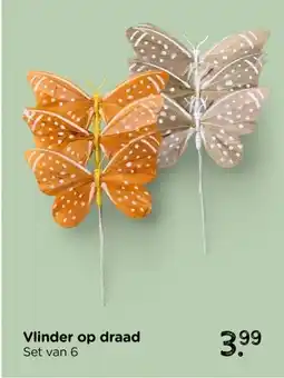 Xenos Vlinder op draad aanbieding