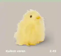 Xenos Kuiken veren aanbieding