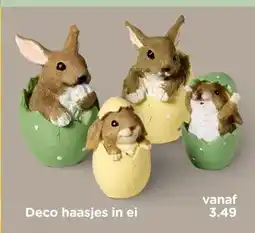 Xenos Deco haasjes in ei aanbieding