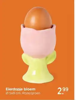 Xenos Eierdopje bloem aanbieding
