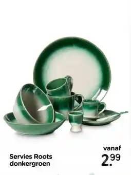 Xenos Servies Roots donkergroen aanbieding